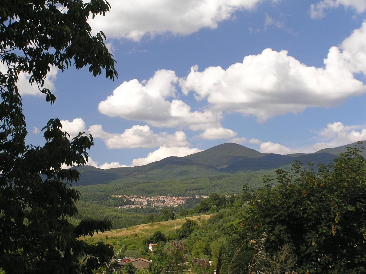 Podere Di Maggio - Casa Della Nonna サンタ・フィオーラ エクステリア 写真
