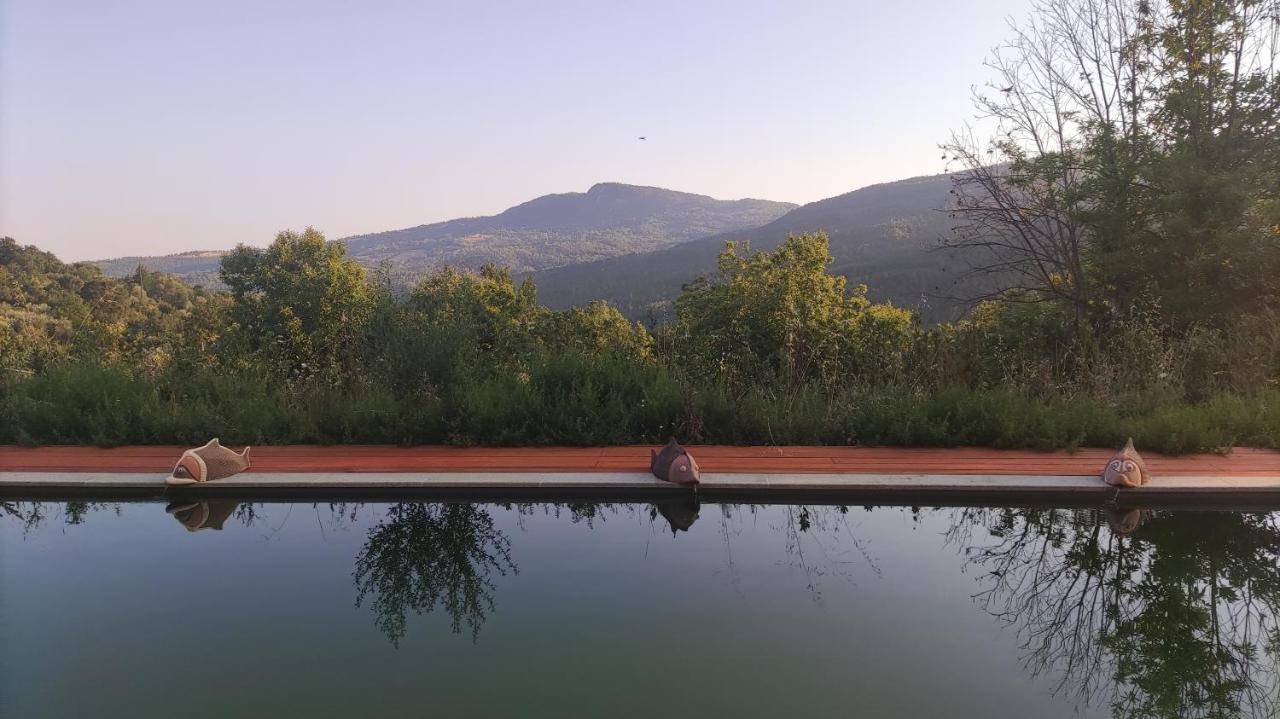 Podere Di Maggio - Casa Della Nonna サンタ・フィオーラ エクステリア 写真