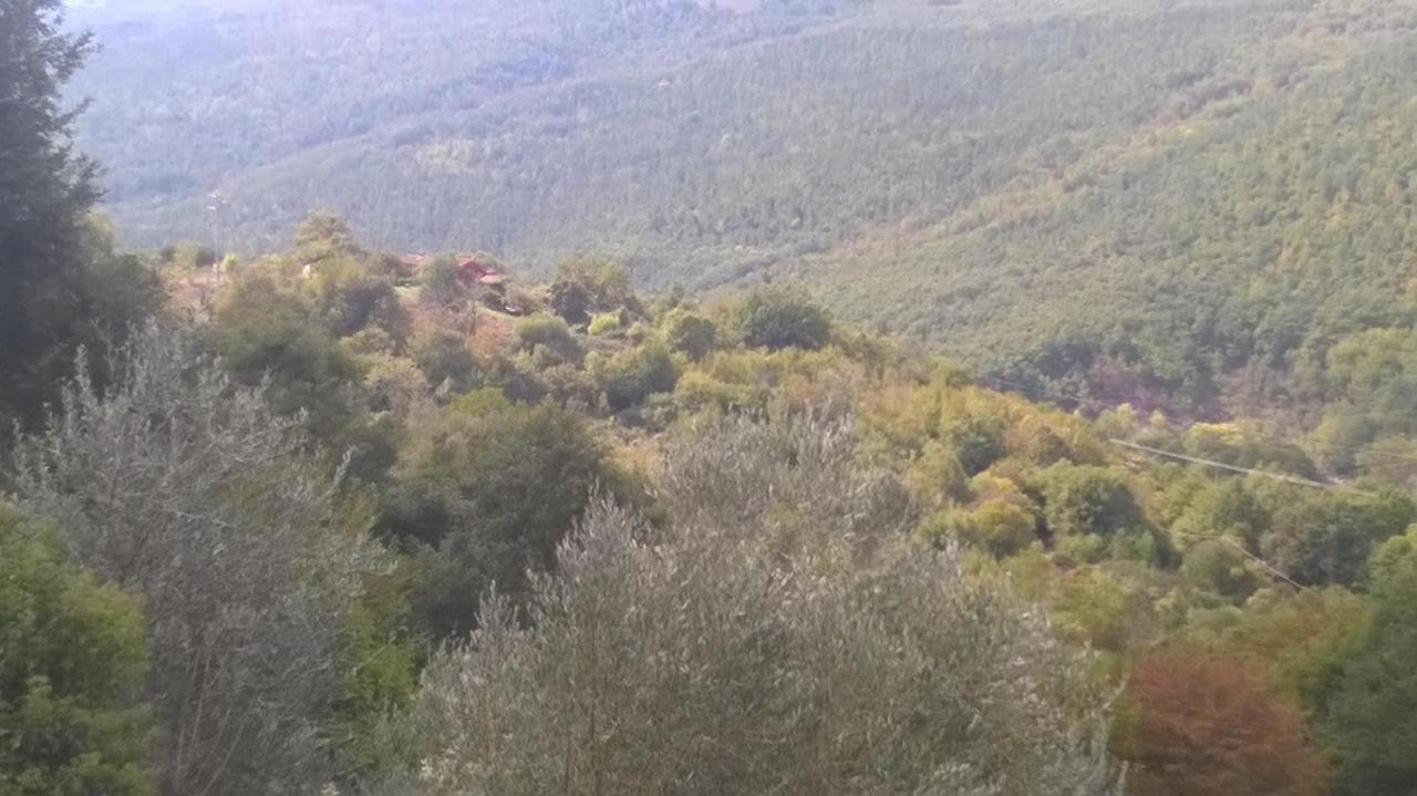Podere Di Maggio - Casa Della Nonna サンタ・フィオーラ エクステリア 写真