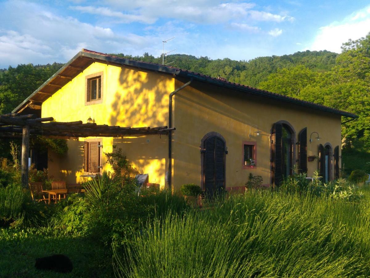 Podere Di Maggio - Casa Della Nonna サンタ・フィオーラ エクステリア 写真