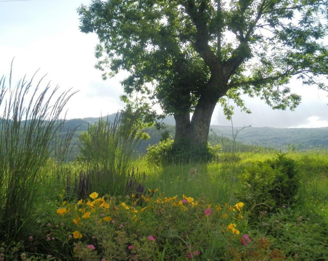 Podere Di Maggio - Casa Della Nonna サンタ・フィオーラ エクステリア 写真